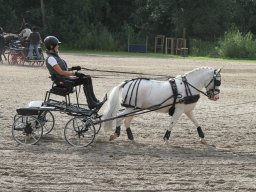 IMG_1187_web